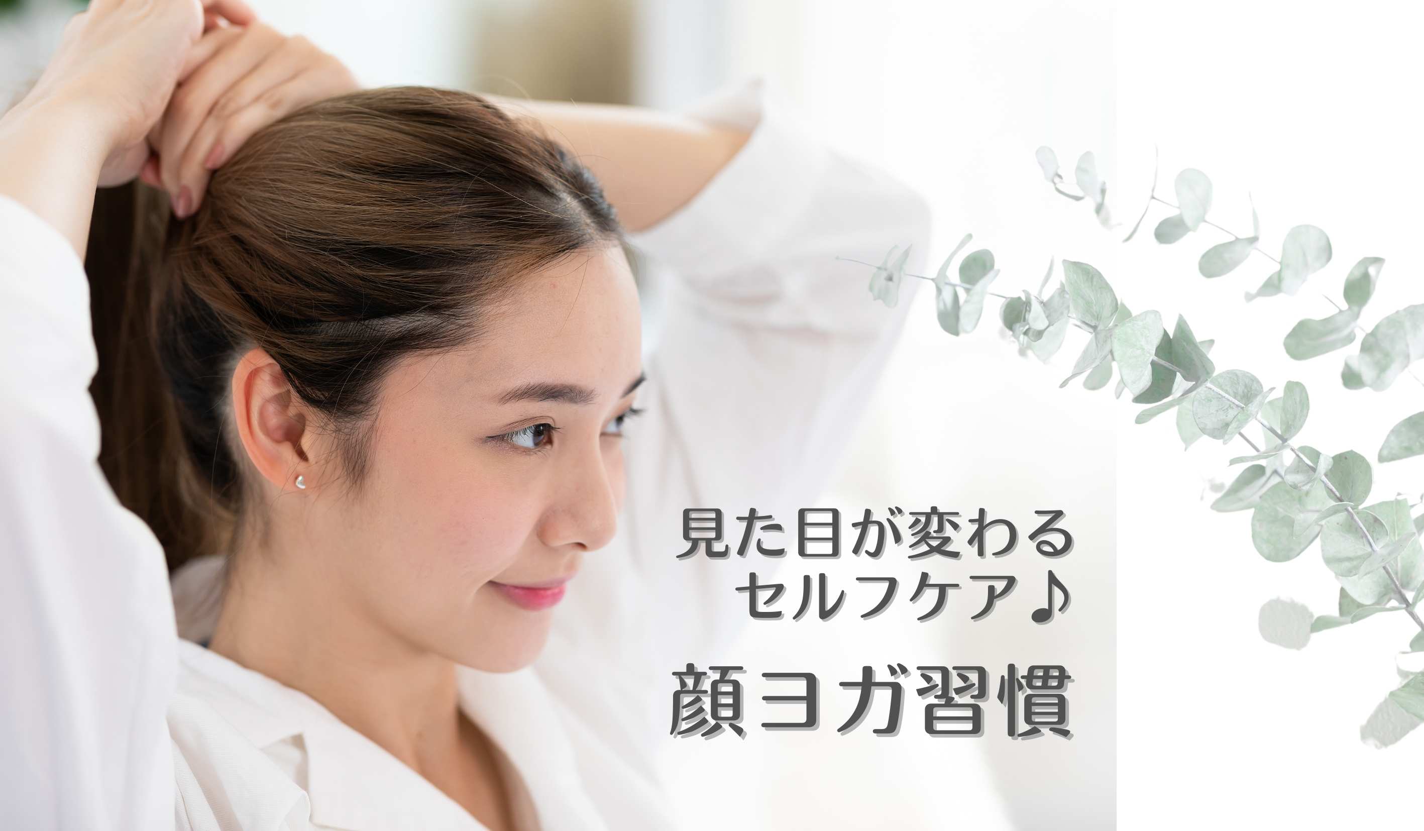 エコルヴェ見出し用